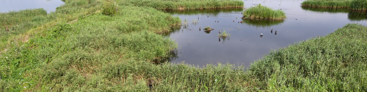 B: Functional Processes (m-km)